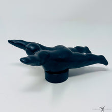 Load image into Gallery viewer, Flying - Black
